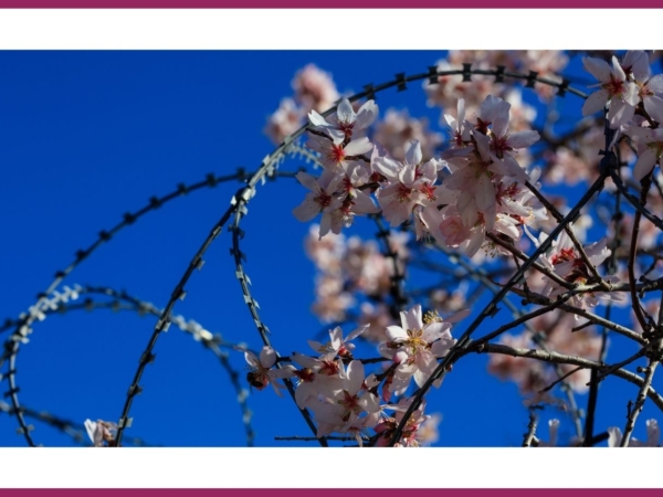 Read more about the article Trudny temat – holocaust